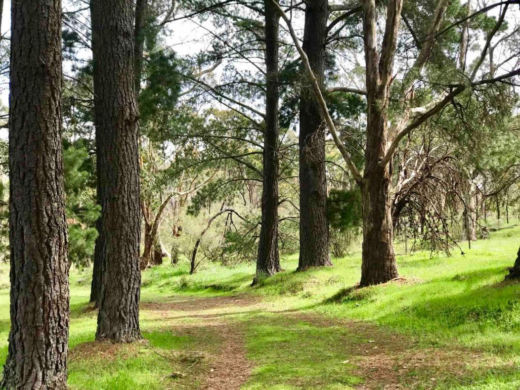Hotel Adelaide Hills Escape Woodside Exteriér fotografie