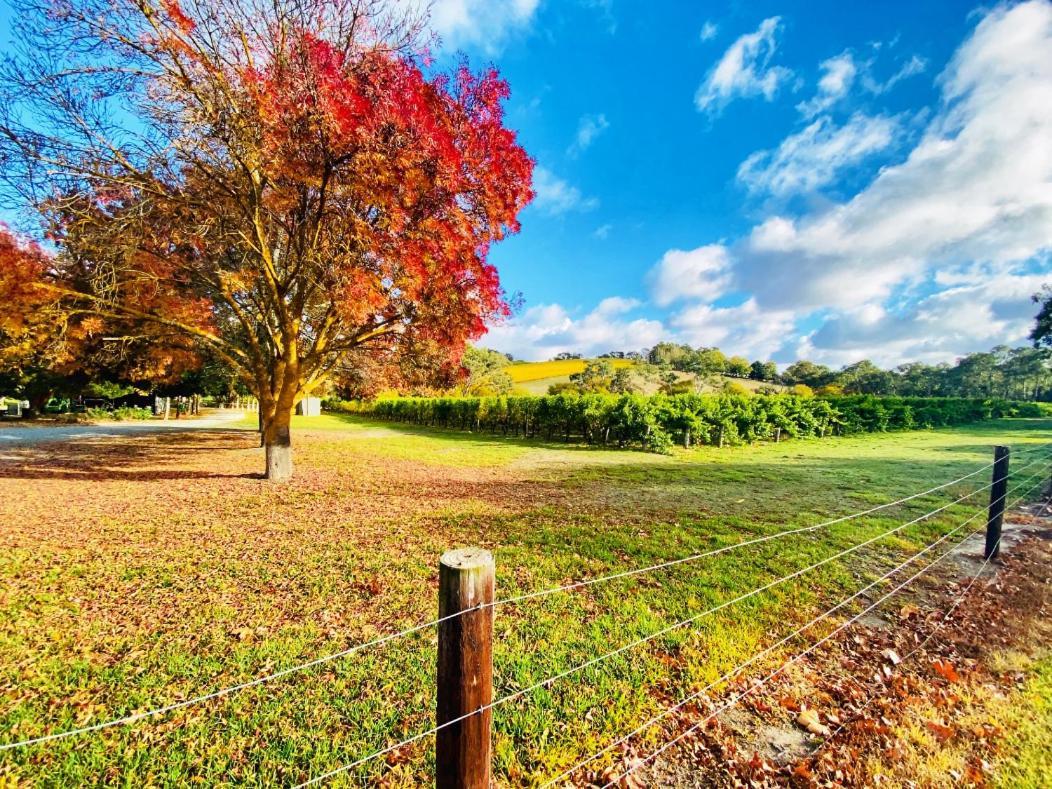 Hotel Adelaide Hills Escape Woodside Exteriér fotografie